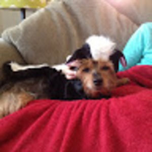 Meet your Posher, Karyn